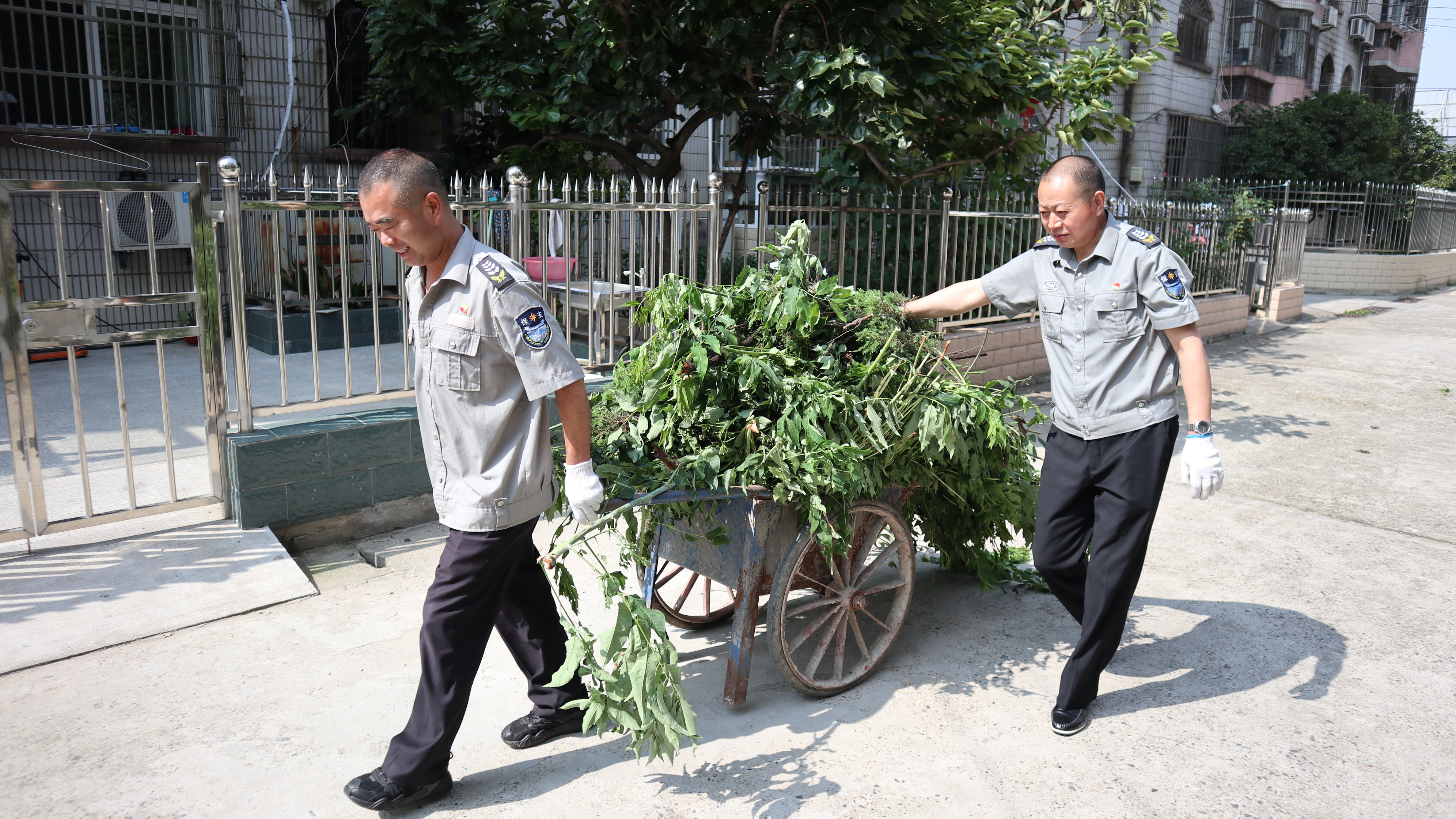 1624249398328680.jpg 02.JPG