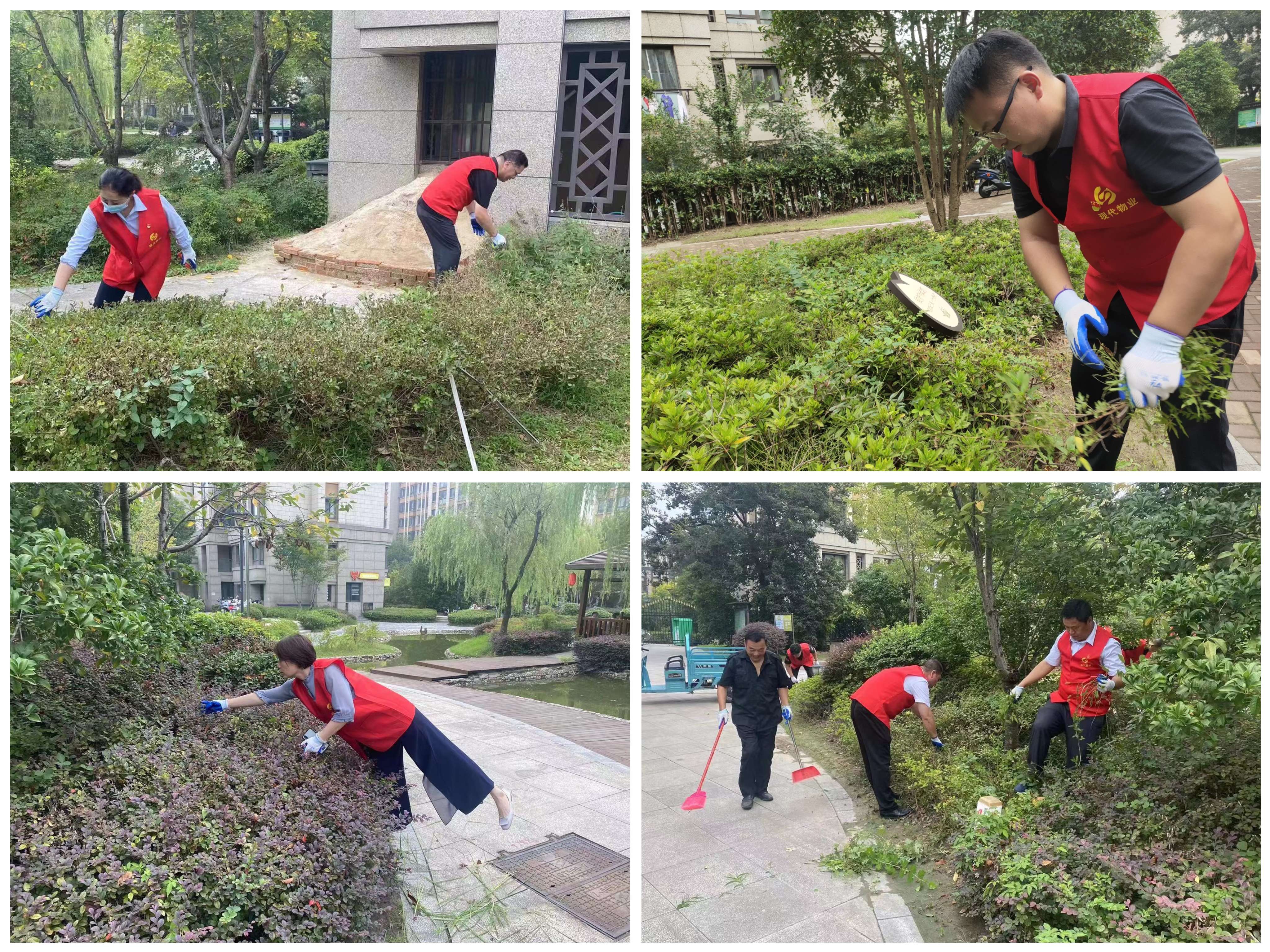 1695364425419600.jpg 微信圖片_20230921162405(1).jpg