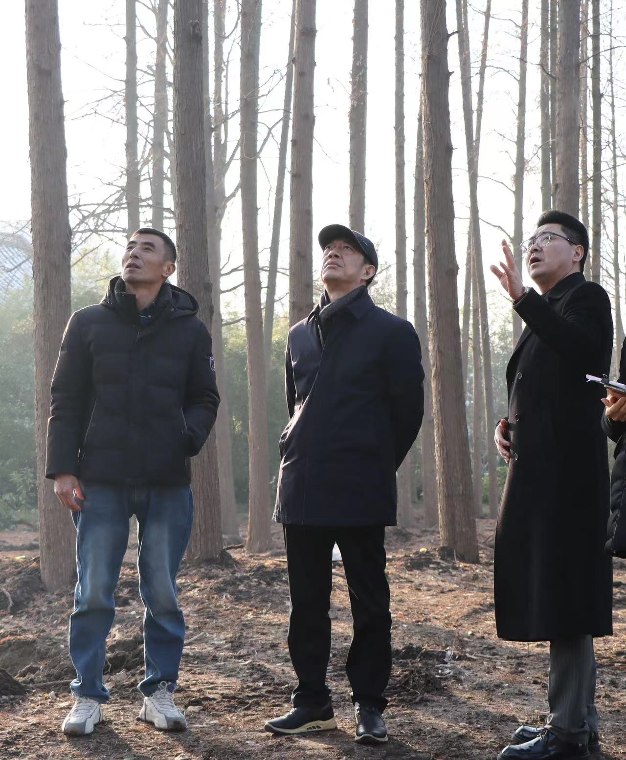 1703748776205583.jpg 23deadde3592e643ad52eae8a443e8d.jpg